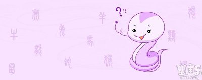 属蛇的和属马的配吗