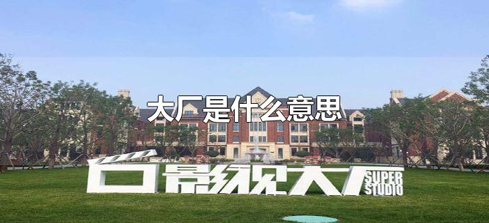 大厂是什么意思