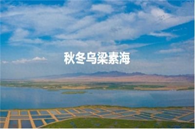 ​歌游内蒙古 | 秋冬秘境：探索乌梁素海的静谧与壮美