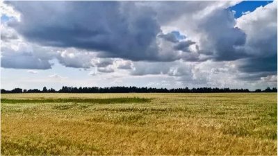 ​＂立陶宛＂现状，带你看看立陶宛的真实面貌