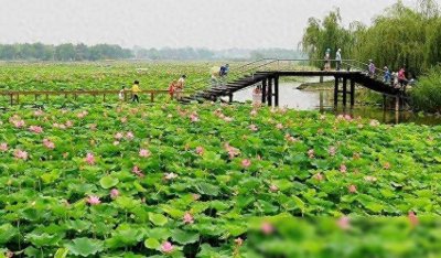 ​想了解雄安新区白洋淀景区的一日游攻略吗？点击查看推荐！