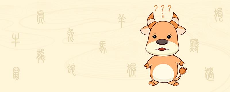 属鼠女和属牛男