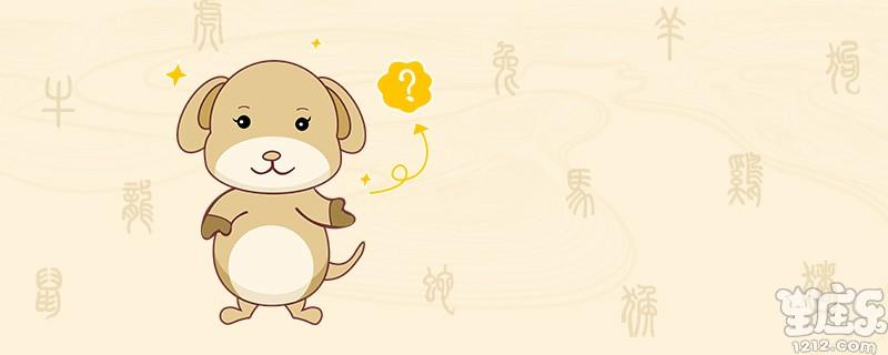 属狗的性格怎么样