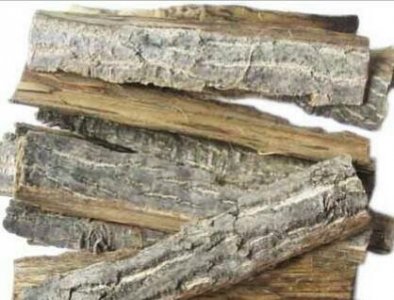 ​核桃树皮的功效