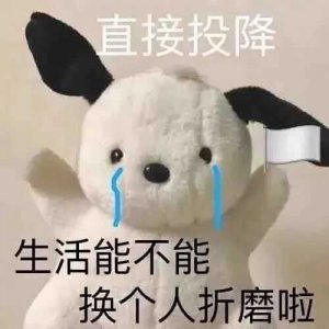 ​双十一又带火了这些新词（今年双十一火起来的词）