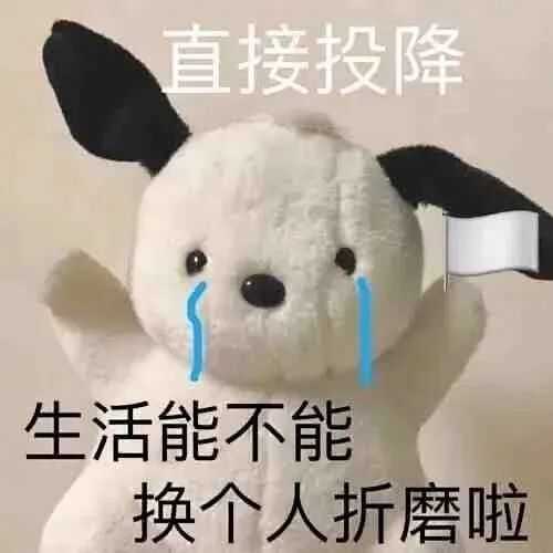 双十一又带火了这些新词