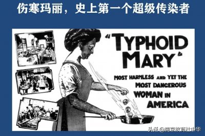 ​伤寒玛丽：美国历史上第一位无症状传播者，在孤岛上隔离26年