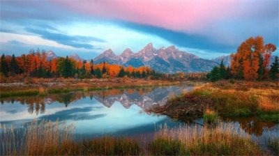 属狗的人与这四个生肖相配，婚后幸福，得王母眷顾，一生恩爱！