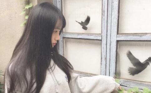 夫妻之间没有共同语言怎么办2