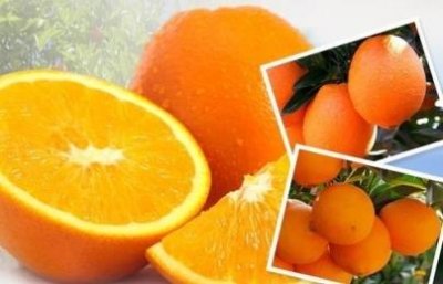 ​如何制作美味麻辣牛筋汤完整的麻辣牛筋汤做法！