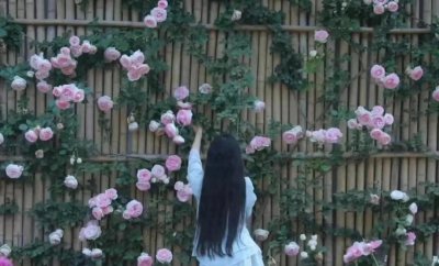 ​退网两年，才有人发现，“李子柒”的庭院，原来这么“假”！