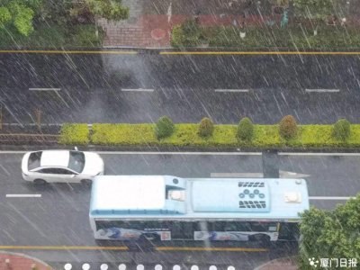 ​刚刚！厦门大雨倾盆！雷声轰隆！紧急提醒……