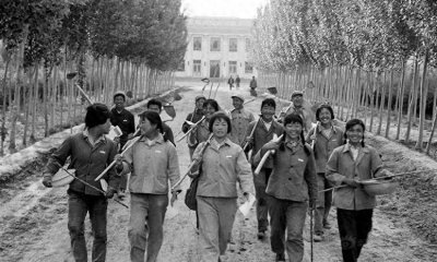 ​知青：特殊时代的群体印记