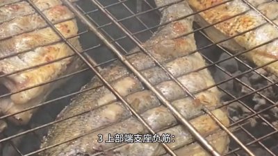 ​钢筋计算公式大全