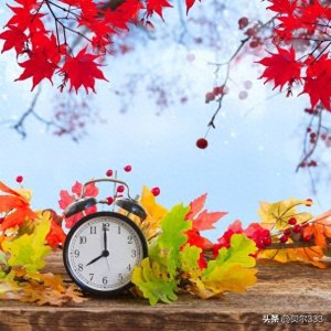 ​每日一词：consent（121）