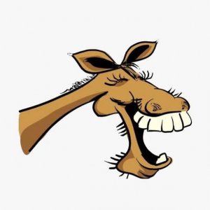 ​你那么爱喝味噌汤，可你知道“味噌”到底是什么吗？