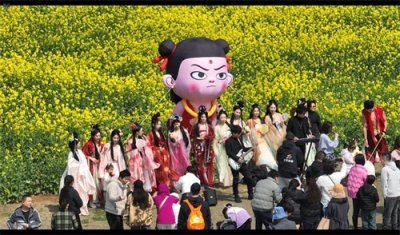​江夏五里界油菜赏花季启动，十大赏花会场一路畅游，赏花海金浪