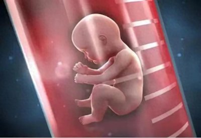 ​从中国首例试管婴儿到医者：郑萌珠的不凡人生