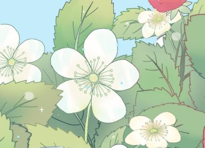 ​包贝尔电视剧，王阳包贝尔电视剧