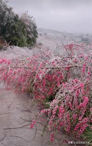 ​涨知识了！何为三季人？你身边就有很多…