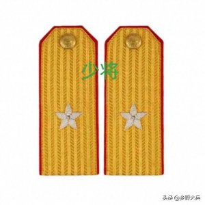 ​1955年至今将军等级至元帅军衔(从小到大排名)