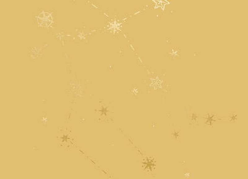 网剧电视剧，12月中下旬新开播的电视剧amp;网剧一览