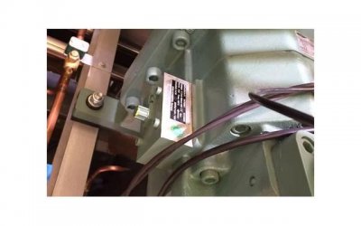 ​赵薇演的电视剧（赵薇主演40集电视剧）