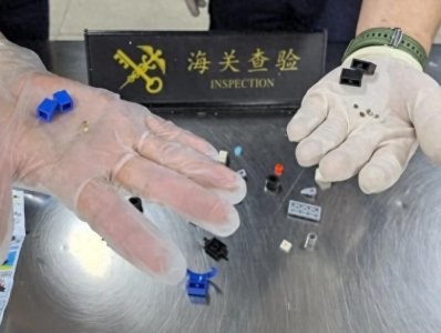 ​7粒大麻种子藏于积木玩具盒中，被海关查获