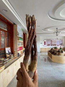 ​灵芝草是菌不是草