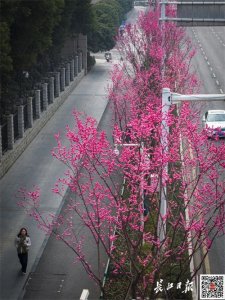 ​28℃↘0℃！武汉会下雪吗？最新天气预报