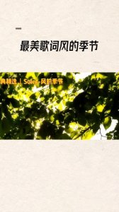 ​最美歌词风的季节