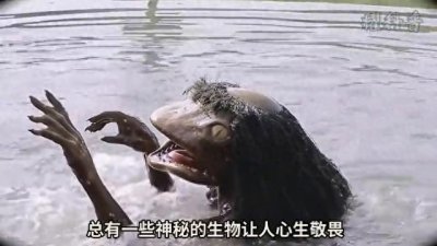 ​揭秘“水鬼”真面目：科学探索下的真实相貌