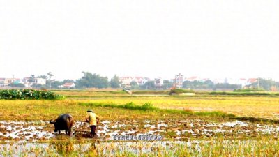 ​你知道“春耕”是怎么来的吗