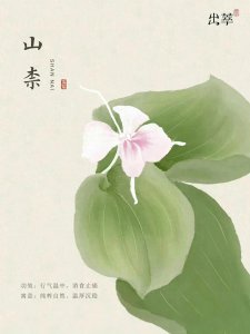 ​盘点好听的中药名字，你还知道哪些