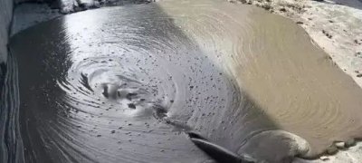 ​「商砼问答」混凝土浇筑后多少时间初、终凝？怎么判断？