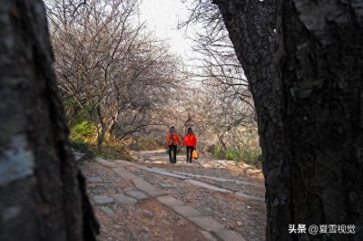 ​摄影对焦有技巧，避免失焦更重要