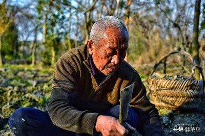 ​老人遭遇车祸被女子搭救，女子照顾他7年，他临终前赠300万元遗产
