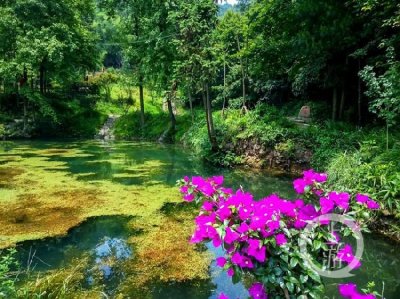 ​“重庆小九寨”——九凤瑶池掠影