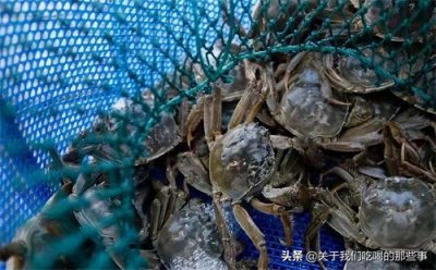 ​吃不完的螃蟹，别放冰箱保存了，蟹农教你个好方法，放一周还鲜活