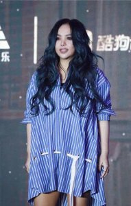 ​张惠妹个人简历