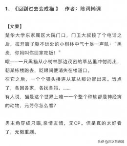 ​6本主角是猫的文｜本喵只是只平凡喵