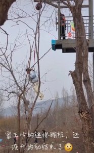 ​河北一景区推出无失重感蹦极，回应：人人都敢玩，很受欢迎