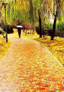 ​雨夜寂寥，心随雨泣，20首秋雨诗词写得很孤独，道尽了思乡之苦