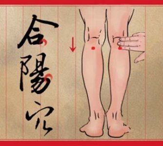 ​合阳穴主治：腰脊强引腹痛，阴股热，胻酸肿，步履难，寒疝阴偏痛