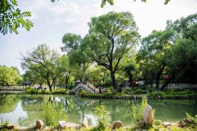 ​青州市：范公亭公园夏意浓