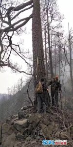 ​凉山火灾原因查明