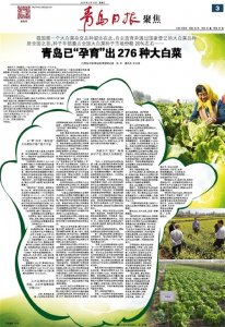 ​不愧为“国际种都”，青岛已“孕育”出276种大白菜