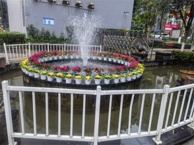 ​万东镇海棠社区扮靓小区迎新春