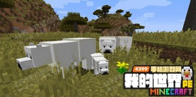 ​我的世界北极熊怎么驯服 手机版北极熊驯服教程