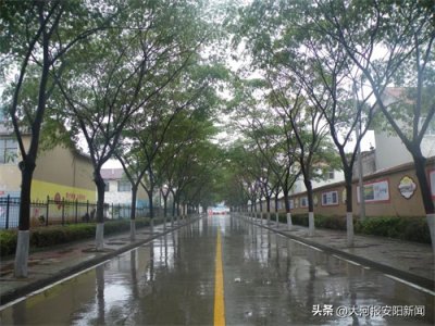 ​举乡村振兴大旗 绘相如故里画卷——安阳市殷都区许家沟乡高质量发展纪实